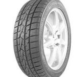 'Mastersteel All Weather (225/55 R17 101W)'