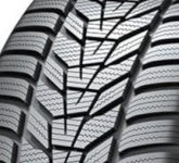 HANKOOK 'Hankook Winter i*cept evo3 W330 (295/30 R20 101W)'