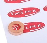 Delphi DELPHI Dichtring, Düsenschacht 9001-850C
