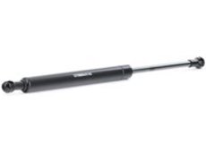 RIDEX Motorhaubendämpfer BMW 514G0095 51238150077 Haubendämpfer,Gasfeder, Motorhaube